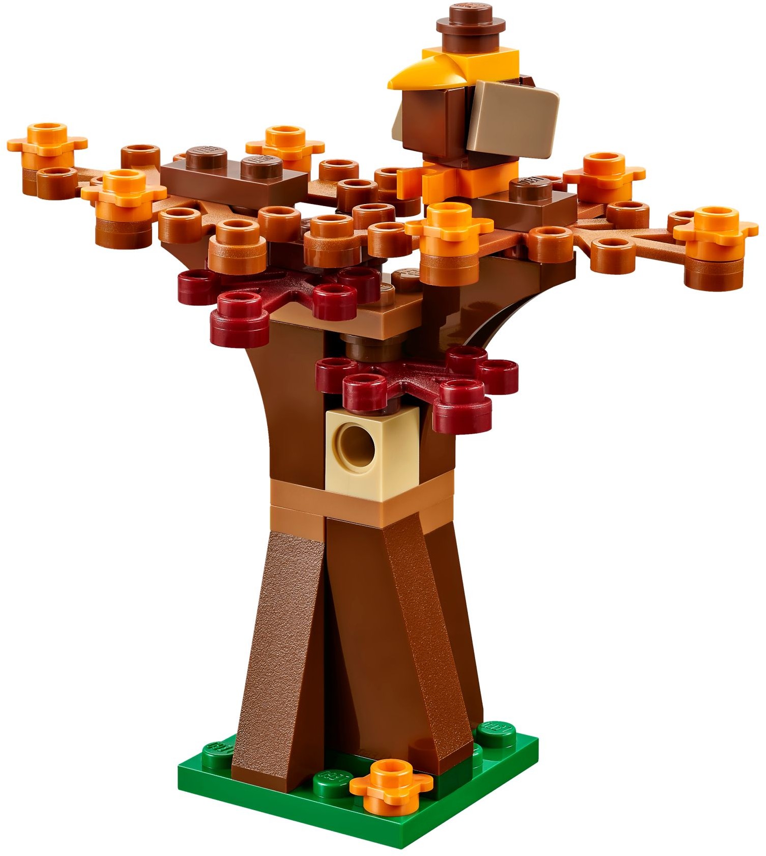 40261-1 - Thanksgiving - Image 7