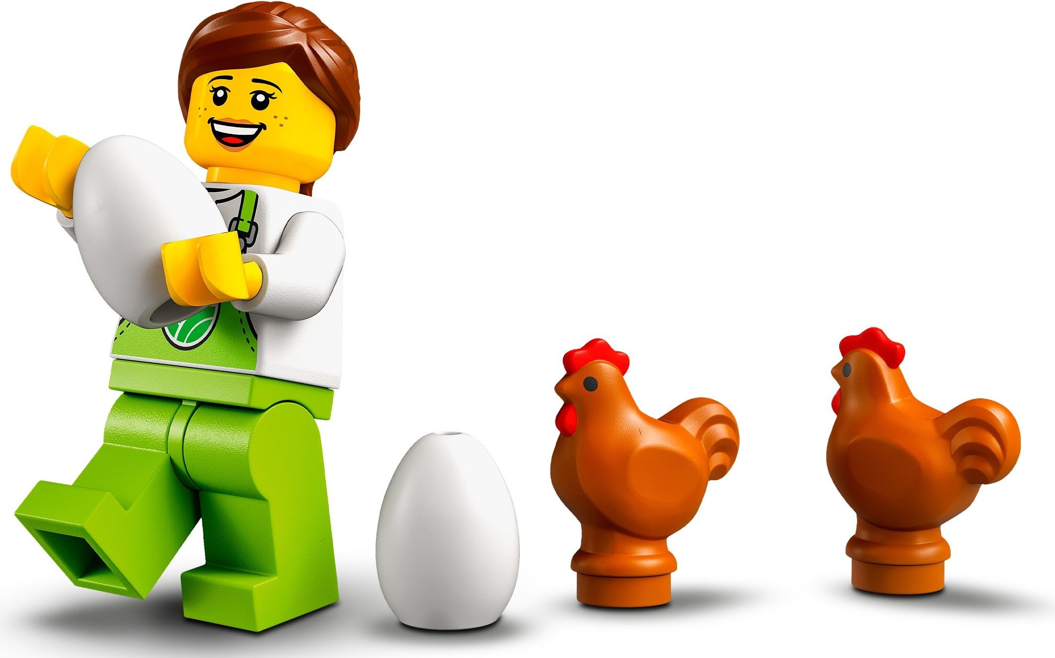 60344-1 - Chicken Henhouse - Image 7