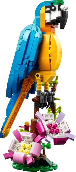 31136-1 - Exotic Parrot