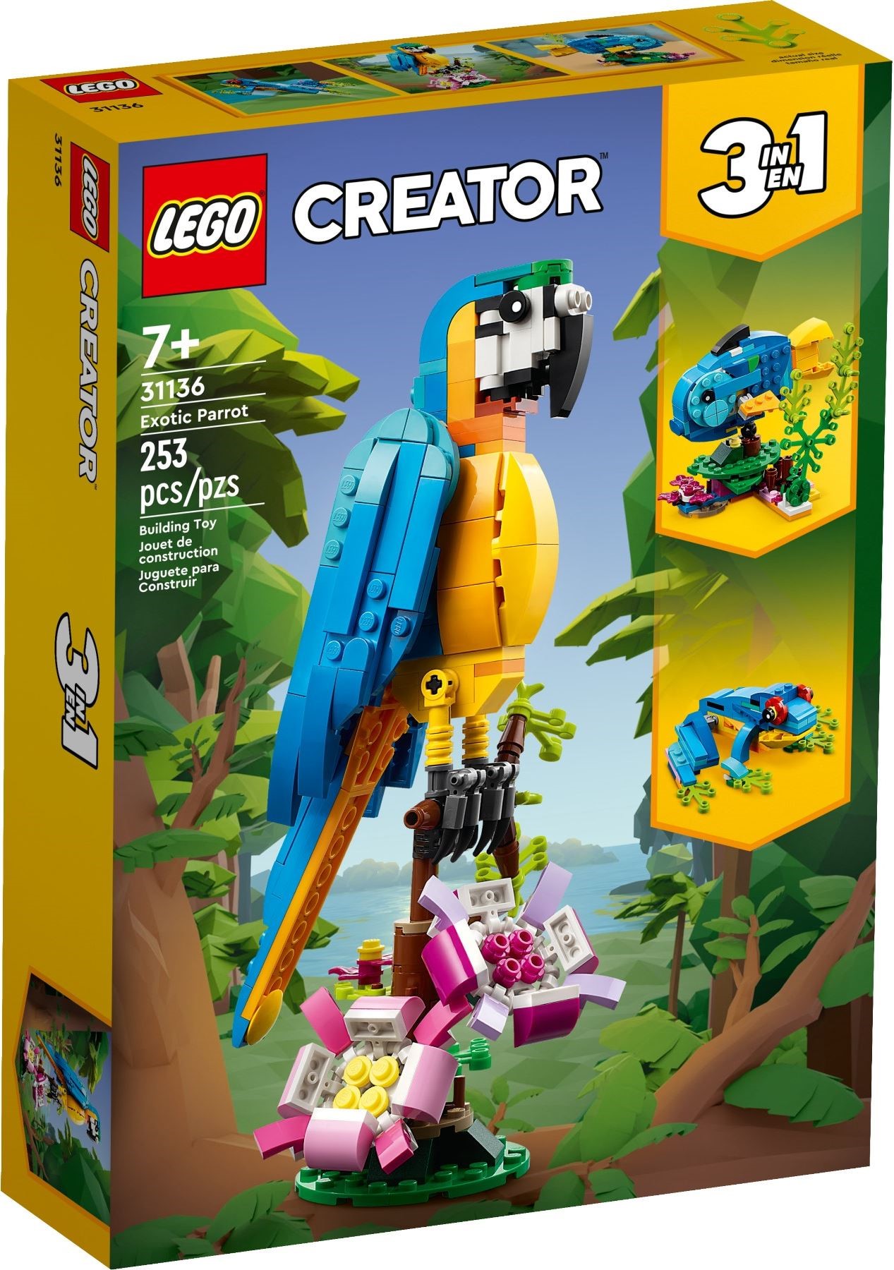 31136-1 - Exotic Parrot - Image 2