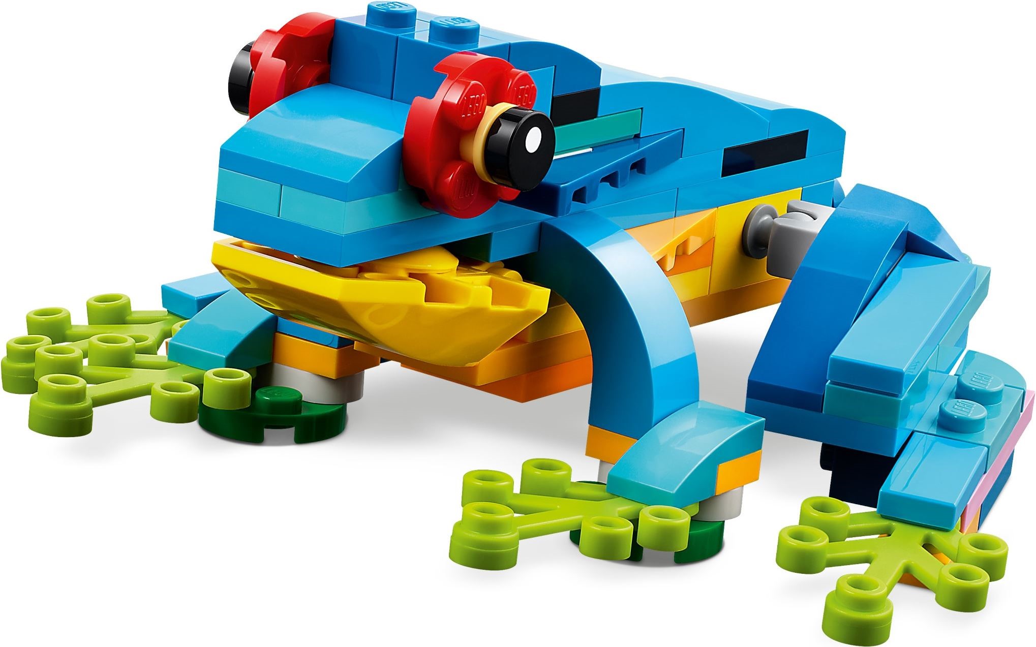 31136-1 - Exotic Parrot - Image 4
