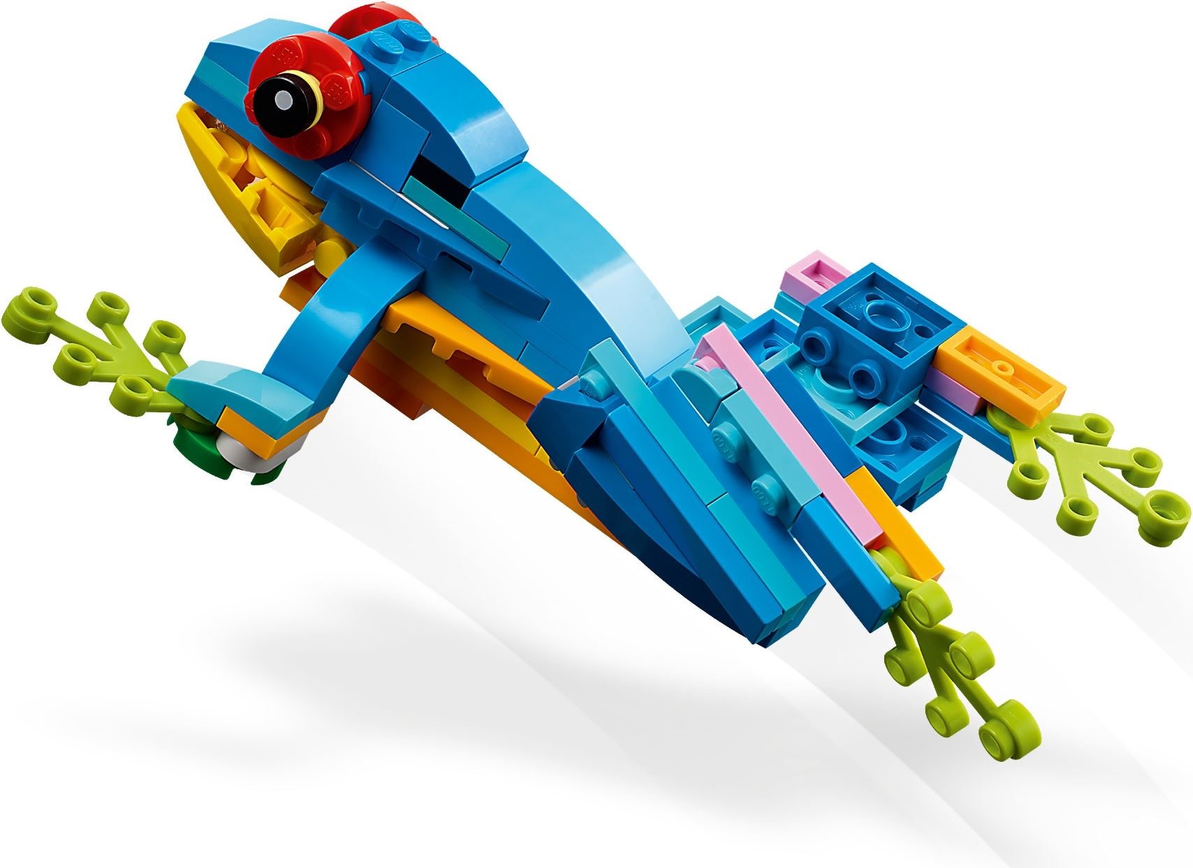 31136-1 - Exotic Parrot - Image 5